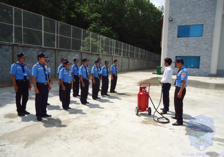 công ty bảo vệ quận 11