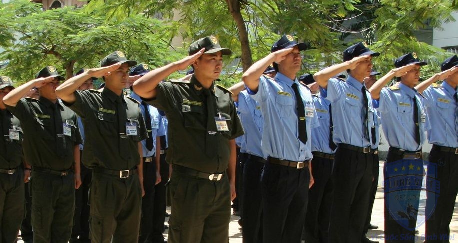 Công Ty Dịch Vụ Bảo Vệ Thanh Niên Việt
