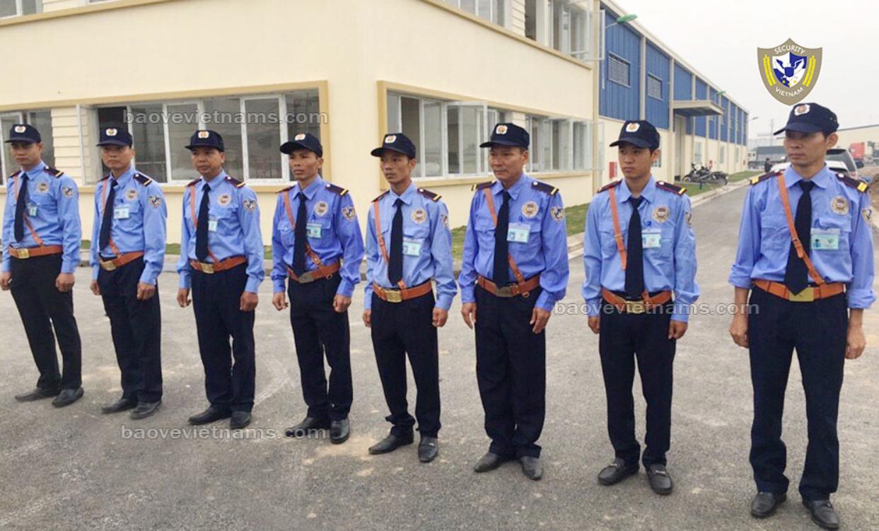 Công ty Bảo vệ Việt Nam