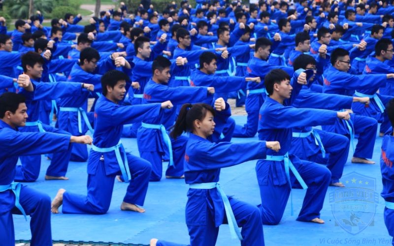 Lịch sử hình thành võ Vovinam