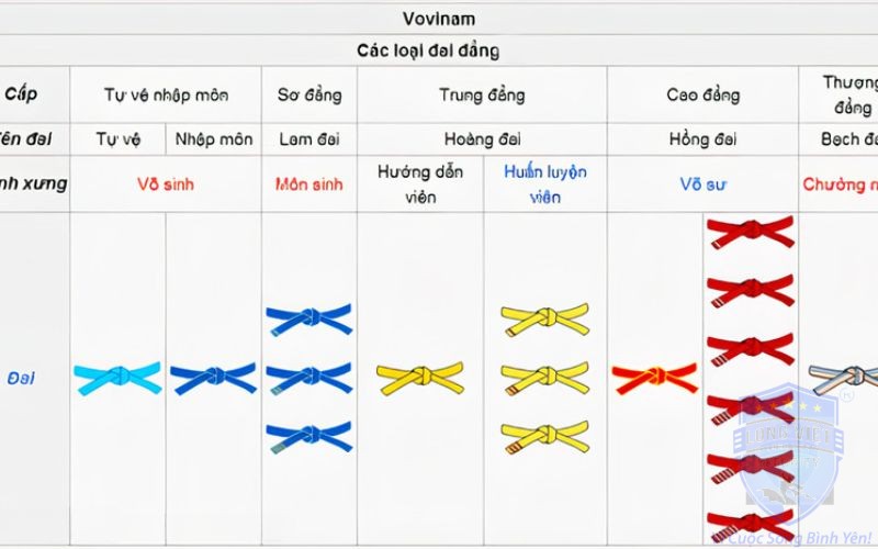 Các cấp độ võ Vovinam