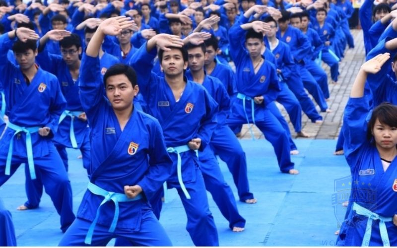 Các cấp độ võ Vovinam